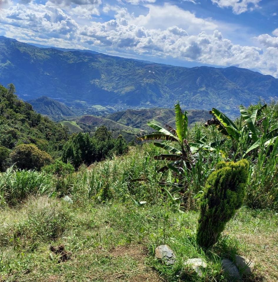 WhatsApp Image 2026-02-17 at 8.35.11 PM