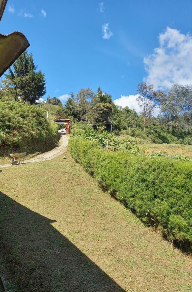 WhatsApp Image 2026-02-17 at 8.35.12 PM (1)