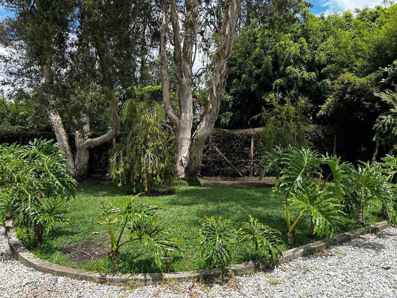 WhatsApp Image 2026-02-24 at 9.41.17 AM (2)