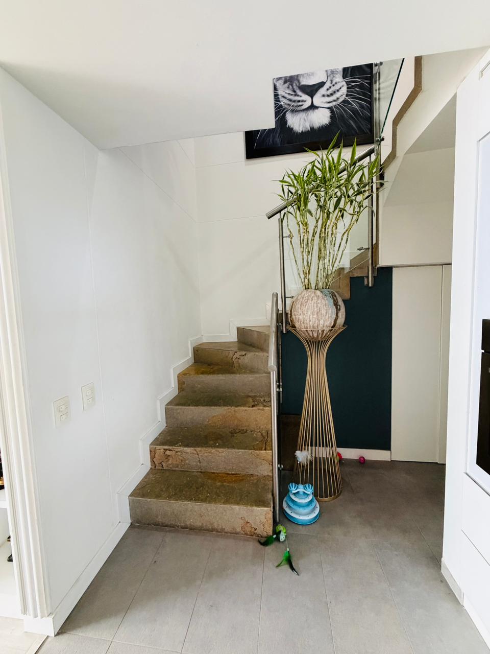 WhatsApp Image 2026-02-25 at 9.50.33 AM